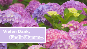 Blumen für dich