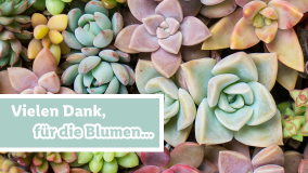 Blumen für dich