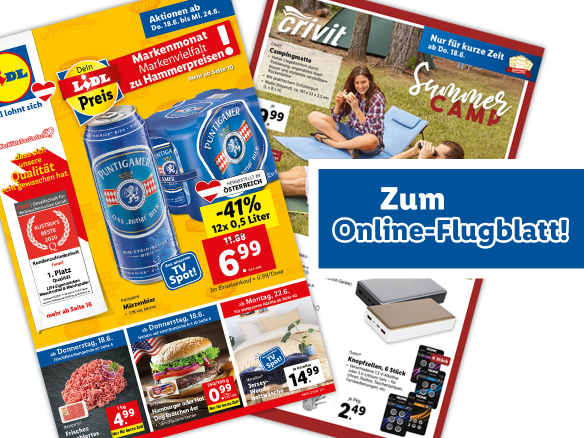 Online-Flugblatt