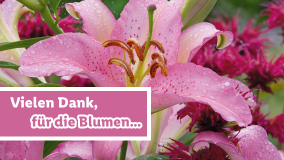 Blumen für dich