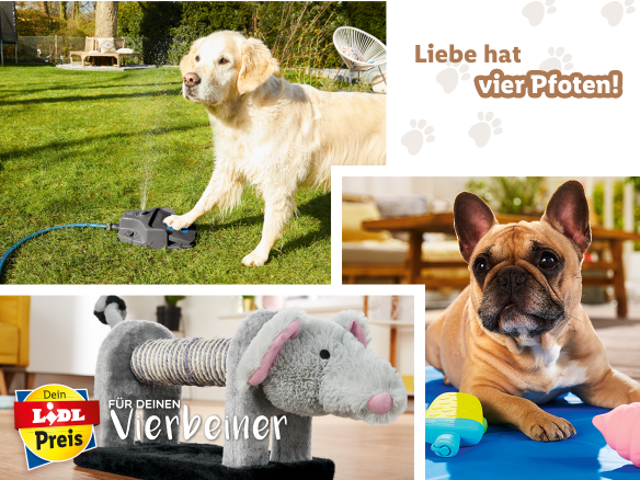 Für deinen Vierbeiner