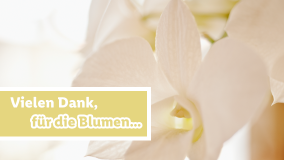 Blumen für dich 