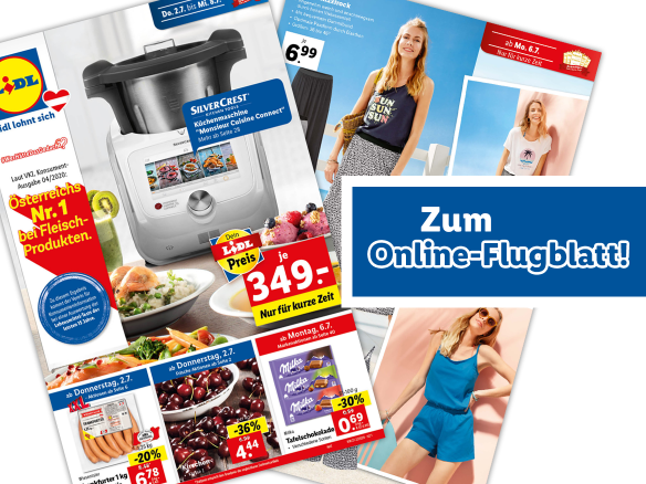 Online-Flugblatt