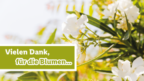 Blumen für dich