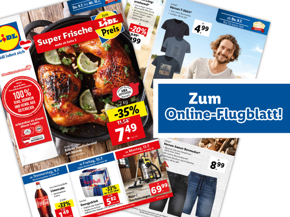 Online-Flugblatt