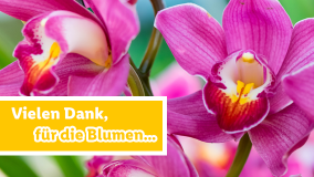 Blumen für dich