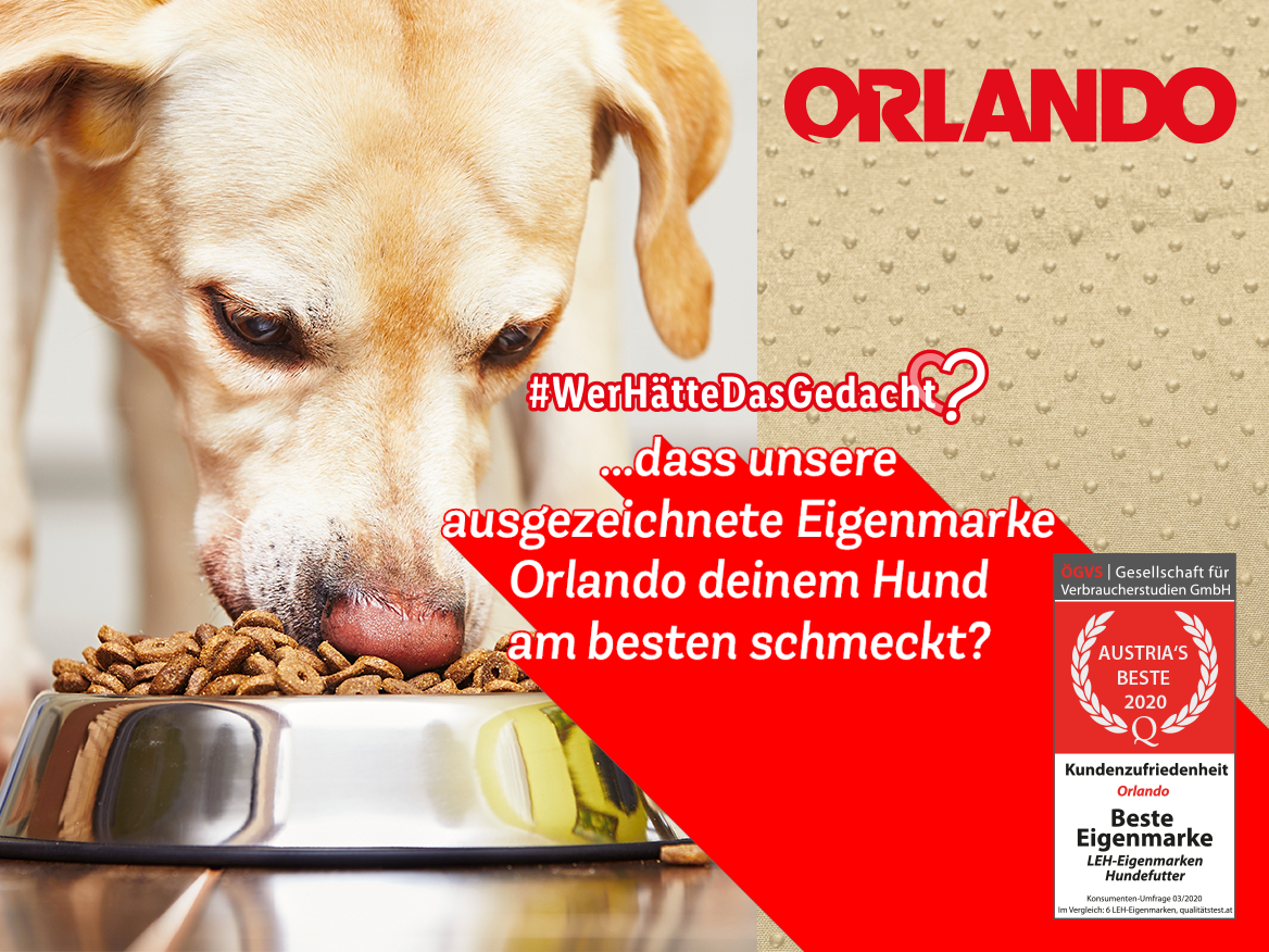 #WerHätteDasGedacht