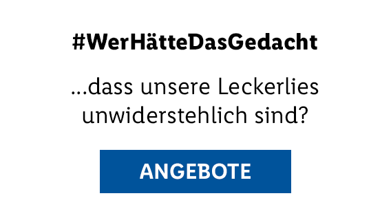 ANGEBOTE