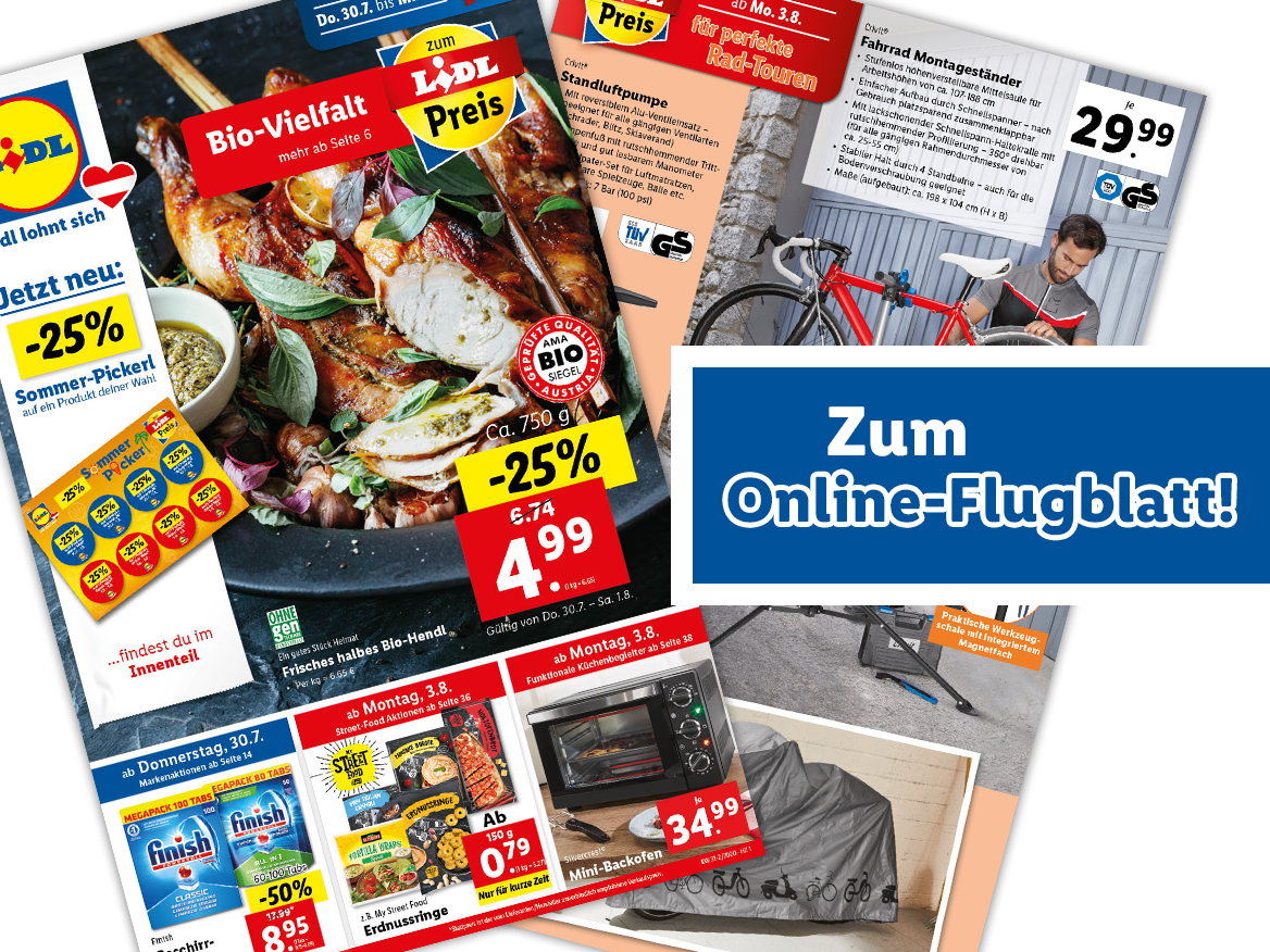 Online-Flugblatt