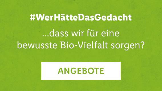 ANGEBOTE