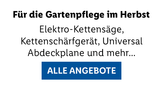 ALLE ANGEBOTE