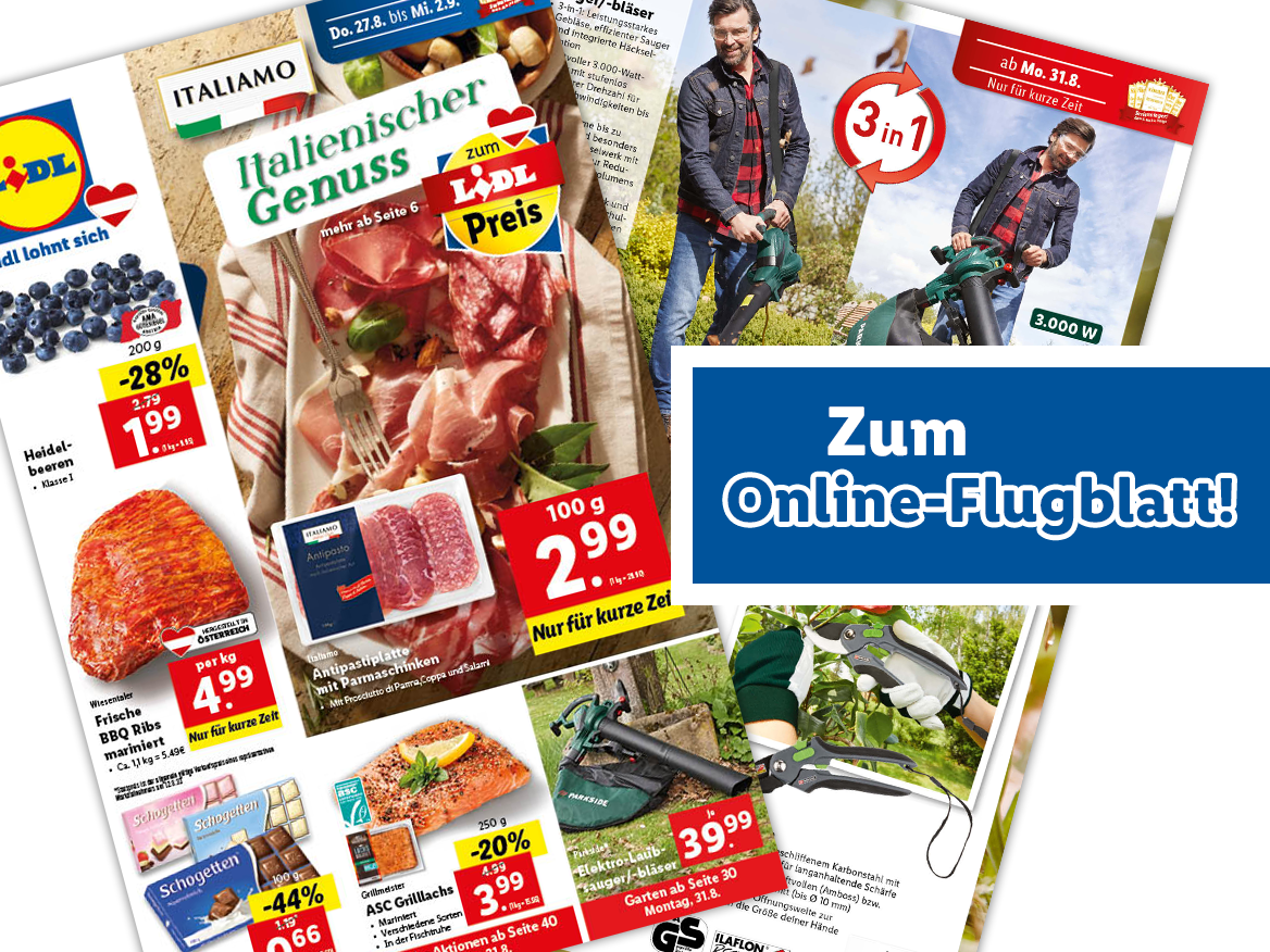 Online-Flugblatt