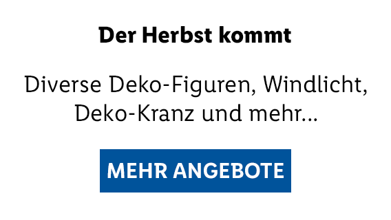 MEHR ANGEBOTE