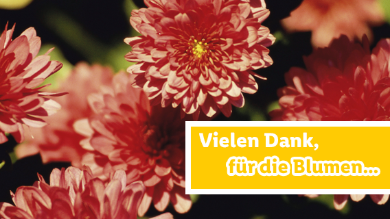 Blumen für dich