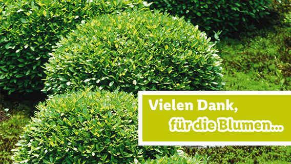 Blumen für dich