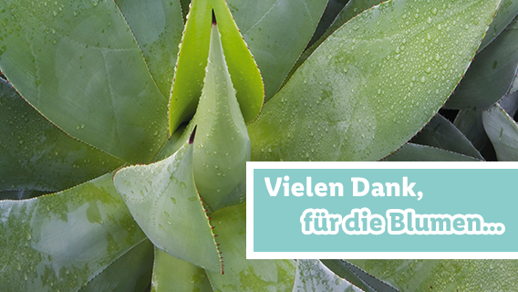 Blumen für dich