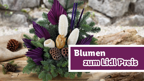 Blumen zum Lidl Preis