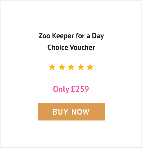 Zoo Keeper for a Day Choice Voucher - Only £259