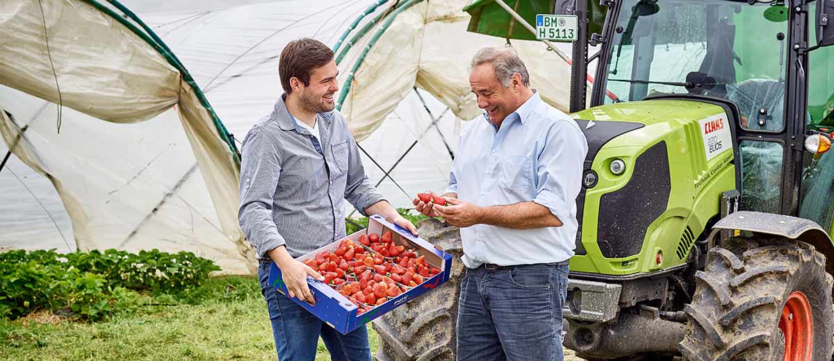 Zwei Männer mit einer Kiste Erdbeeren neben einem Erdbeerfeld und Traktor