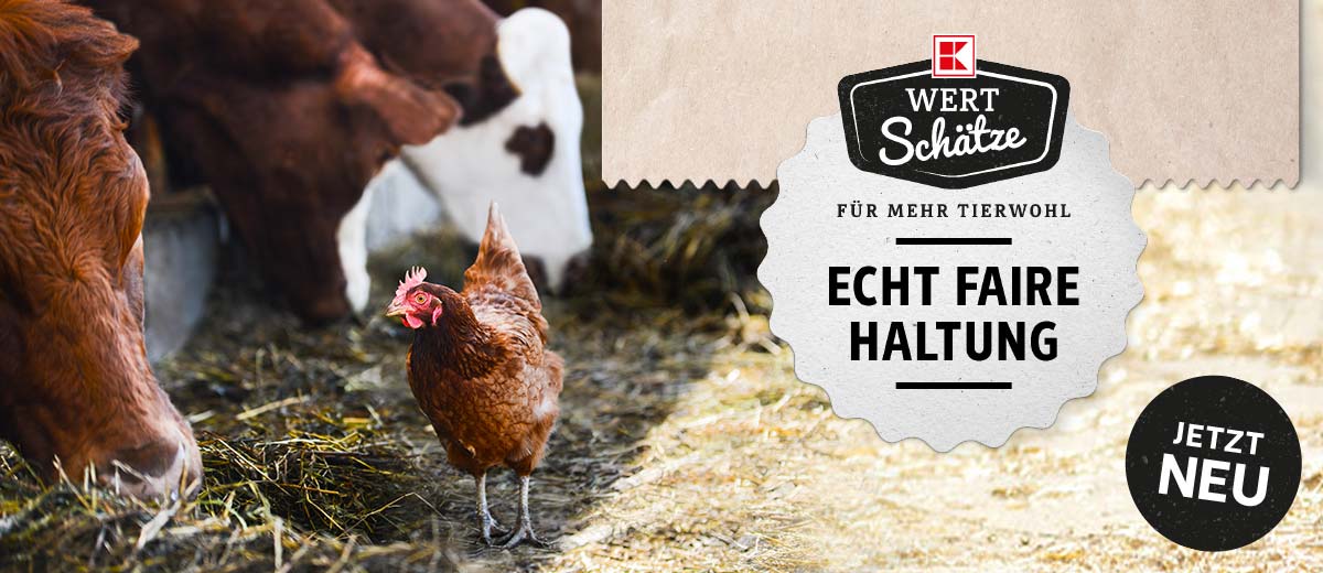 Logo: K-WERTSCHÄTZE; Schriftzug: FÜR MEHR TIERWOH, ECHT FAIERE HALTUNG; Störer: JETZT NEU; Abbildung: Stall mit Kühen, einem Huhn und Stroh