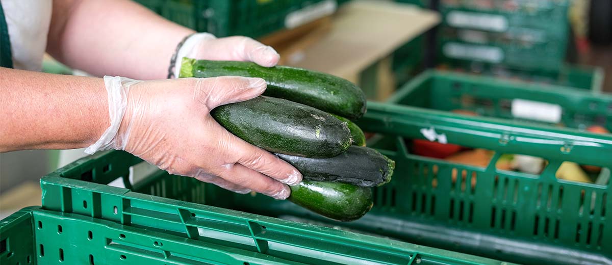 Abbildung: Person greift Zucchini