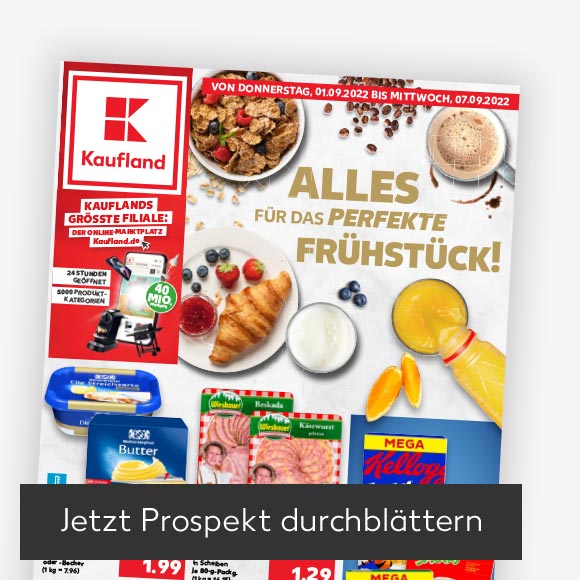 Abbildung: Titelbild Kaufland-Prospekt; Button: Jetzt Prospekt durchblättern