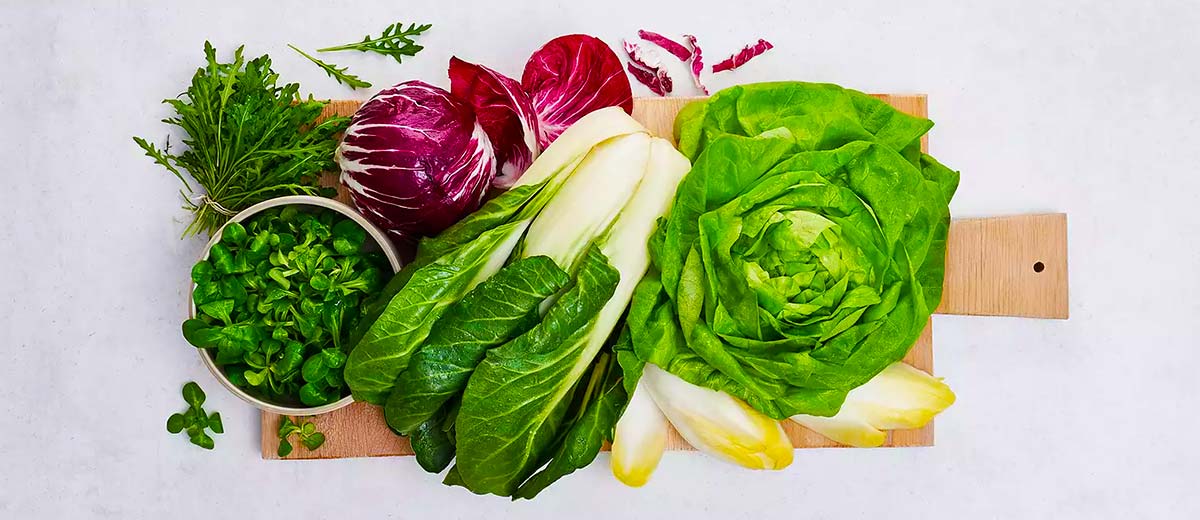 Abbildung: versch. Blattsalate