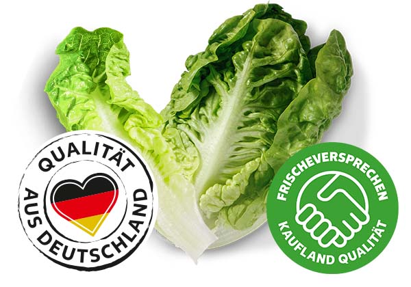 Dtsch. Mini- Romanasalat; Logo: QUALITÄT AUS DEUTSCHLAND; Logo: FRISCHEVERSPRECHEN KAUFLAND QUALITÄT