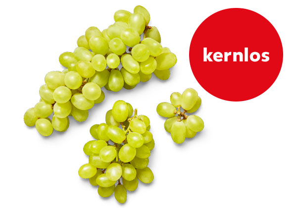 Südafrik. Tafeltrauben, hell; Störer: kernlos