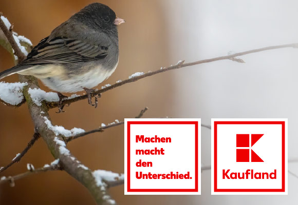 Abbildung: Vogel auf einem verschneiten Ast; Logo: Machen macht den Unterschied.; Logo: Kaufland