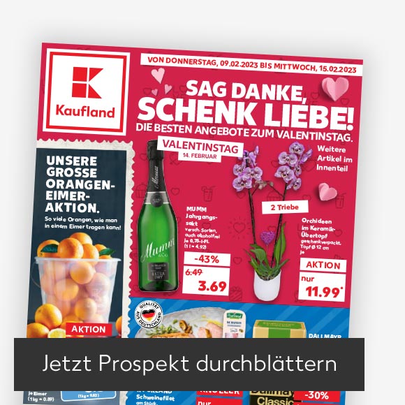 Abbildung: Titelbild Kaufland-Prospekt; Button: Jetzt Prospekt durchblättern