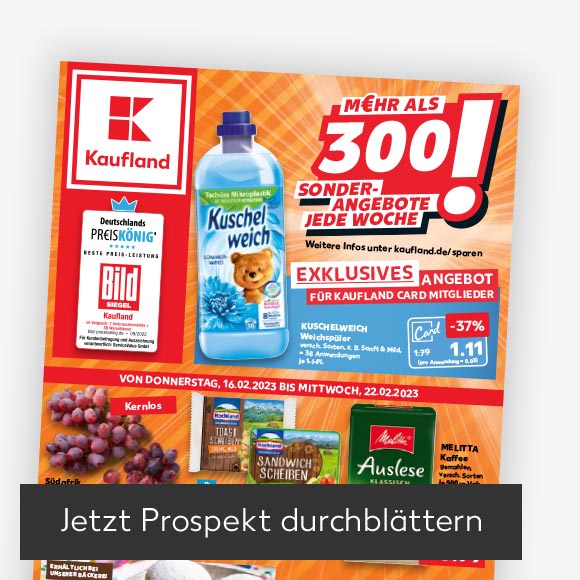 Abbildung: Titelbild Kaufland-Prospekt; Button: Jetzt Prospekt durchblättern