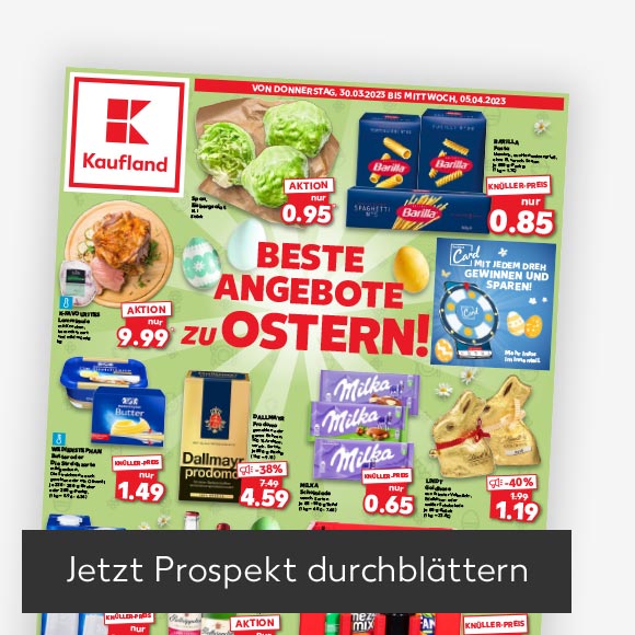 Abbildung: Titelbild Kaufland-Prospekt; Button: Jetzt Prospekt durchblättern