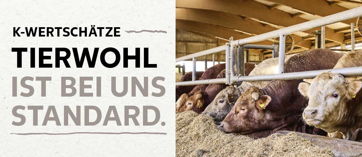 Schriftzug: K-WERTSCHÄTZE TIERWOHL IST BEI UNS STANDARD.; Abbildung: Kühe in einem Stall