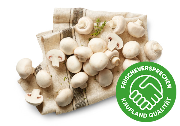 Poln./kroat. Kulturchampignons, weiß; Logo: FRISCHEVERSPRECHEN KAUFLAND QUALITÄT