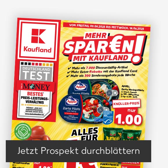 Abbildung: Titelbild Kaufland-Prospekt; Button: Jetzt Prospekt durchblättern