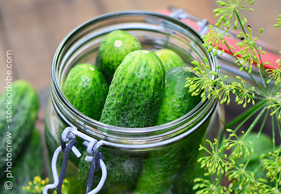 Eingemachte Gurke im Glas; © photocrew - stock.adobe.com