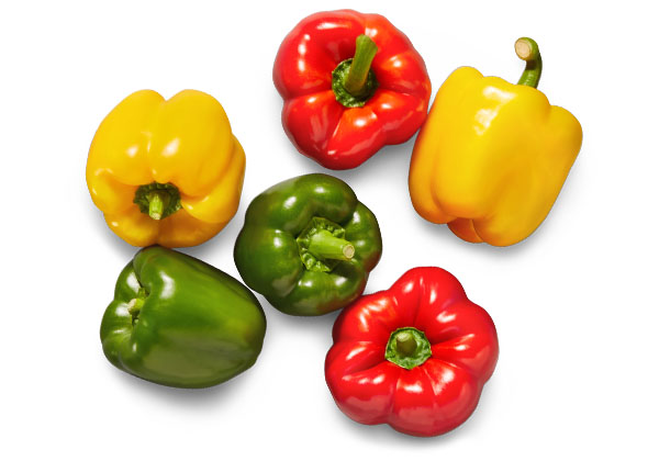 Span./niederl. Paprika