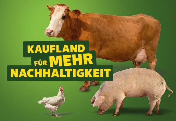 Schriftzug: KAUFLAND FÜR MEHR NACHHALTIGKEIT; Abbildung: Eine Kuh, ein Schwein und ein Huhn