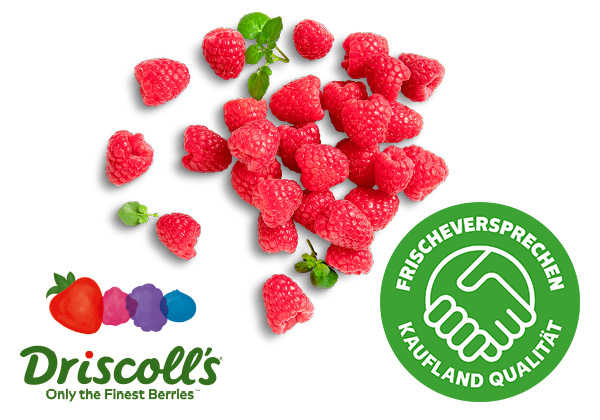 Portug./engl. Himbeeren; Logo: FRISCHEVERSPRECHEN KAUFLAND QUALITÄT; Logo: Driscoll's