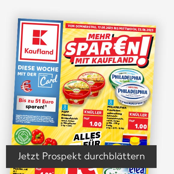 Abbildung: Titelbild Kaufland-Prospekt; Button: Jetzt Prospekt durchblättern