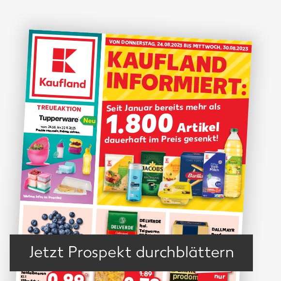 Abbildung: Titelbild Kaufland-Prospekt; Button: Jetzt Prospekt durchblättern