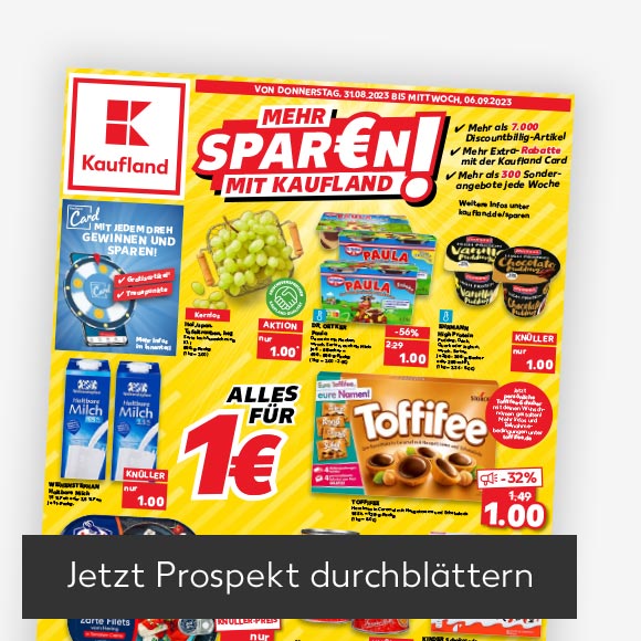 Abbildung: Titelbild Kaufland-Prospekt; Button: Jetzt Prospekt durchblättern