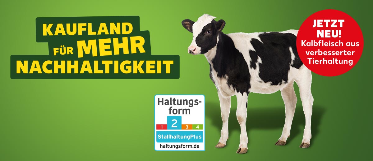 Schriftzug: Kaufland für mehr Nachhaltigkeit; Abbildung: Ein Kalb; Störer: Jetzt neu! Kalbfleisch aus verbesserter Tierhaltung; Logo: Haltungsform 2