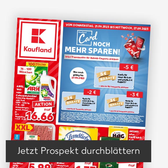 Abbildung: Titelbild Kaufland-Prospekt; Button: Jetzt Prospekt durchblättern