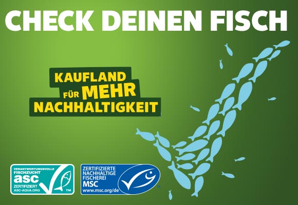 Schriftzug: Check deinen Fisch; Logo: Kaufland für mehr Nachhaltigkeit; Abbildung: Ein Pfeil dargestellt mit mehreren Fischen; Logo: asc-zertifizierte verantwortungsvolle Fischzucht; Logo: MSC-zertifizierte nachhaltige Fischerei