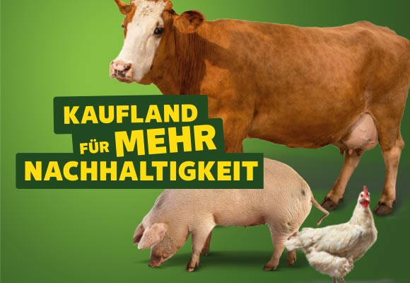 Logo: Kaufland für mehr Nachhaltigkeit; Abbildung: Eine Kuh, ein Schwein und ein Huhn