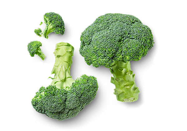Dtsch./niederl. Broccoli