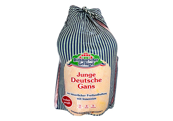 Dithmarscher Geflügel Junge dtsch. Gans