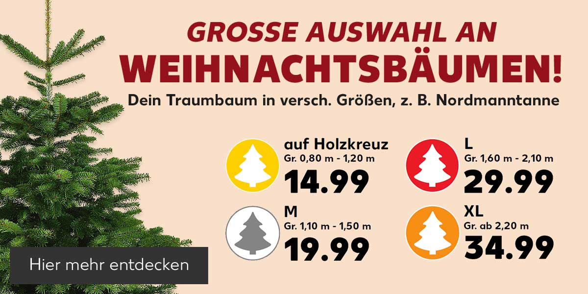 Schriftzug: Grosse Auswahl an Weihnachtsbäumen!, Dein Traumbaum in versch. Größen, z. B. Nordmanntanne; Schriftzug und Abbildung: Tannenbaum; auf Holzkreuz, Gr. 0,80 m - 1,20 m, 14.99 Euro; L, Gr. 1,60 m - 2,10 m, 29.99 Euro; M Gr. 1,10 m - 1,50 m, 19.99 Euro; XL, Gr. ab 2,20 m, 34.99 Euro; Button: Hier mehr entdecken